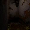 [MODE] TPF=2
[CLUT] X=-1, Y=-1, W=-1, H=-1
[IMAGE] X=0, Y=0, W=320, H=240
[STP] OTHERS=0, BLACK=0