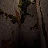 [MODE] TPF=2
[CLUT] X=-1, Y=-1, W=-1, H=-1
[IMAGE] X=0, Y=0, W=320, H=240
[STP] OTHERS=0, BLACK=0