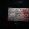 biohazard2_claire_00150