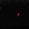 biohazard2_claire_00279