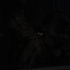 biohazard2_00126
