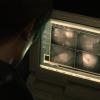 biohazard2_00177