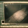 biohazard2_00178
