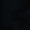 biohazard2_00263
