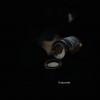 biohazard2_00280
