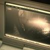 biohazard2_00341