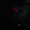 biohazard2_00375