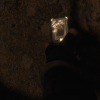 demo_33