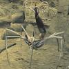 pop-creature-l-7-1