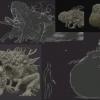 _concept_art_bio8_00081