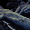 R_DM_2